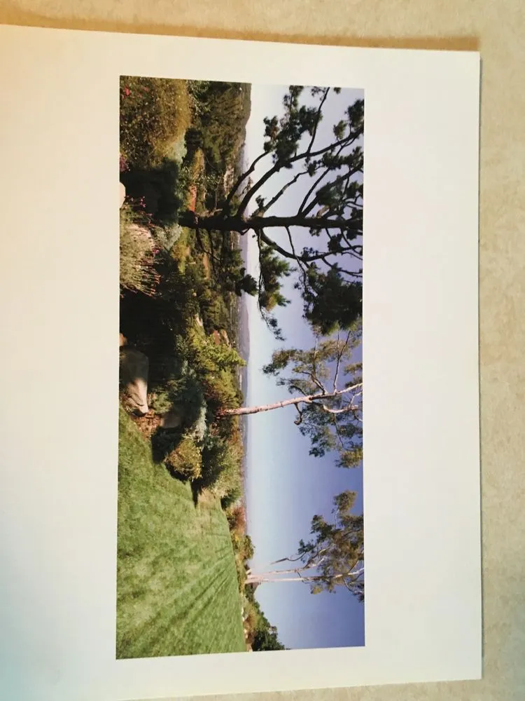 Trusted landscape installation for outdoor upgrades in Santa Barbara, CA by Las Palmas Landscape