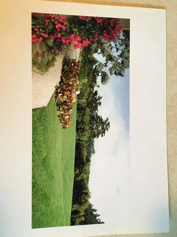 Trusted yard maintenance for residential properties in Santa Barbara, CA by Las Palmas Landscape