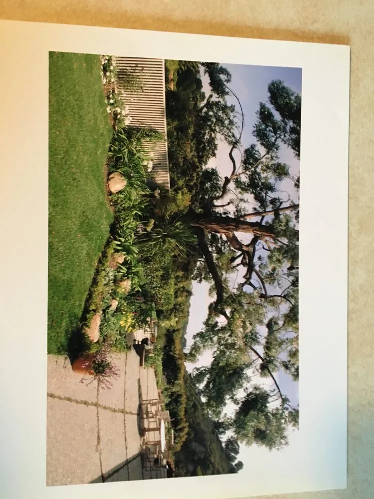 Expert yard cleanup service for outdoor upgrades in Santa Barbara, CA by Las Palmas Landscape