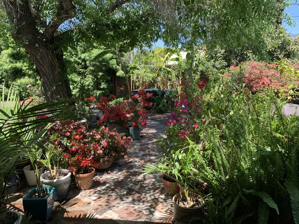 Reliable yard maintenance for beautiful yards across Santa Barbara, CA - Las Palmas Landscape