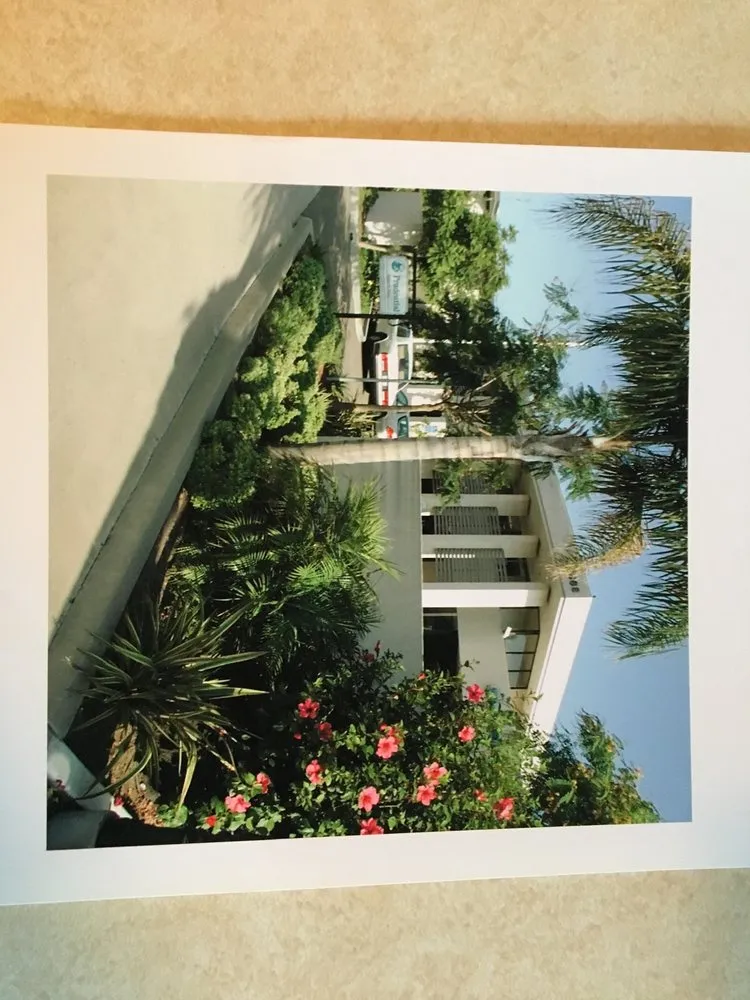 Top-rated yard cleanup service experts serving Santa Barbara, CA - Las Palmas Landscape