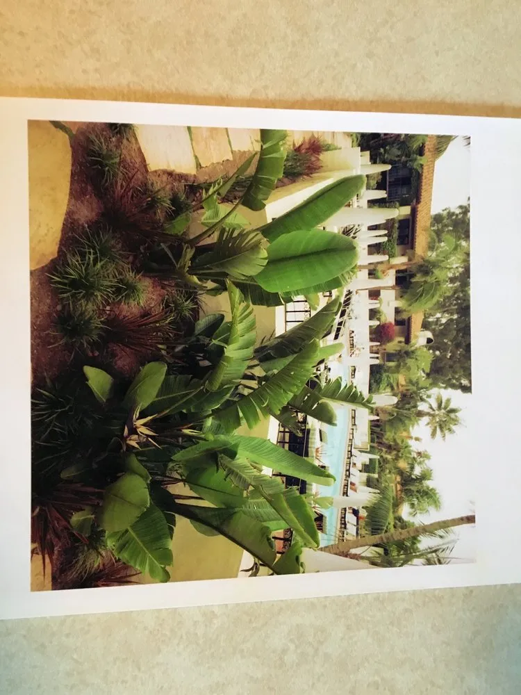 Top-rated yard cleanup service in Santa Barbara, CA - Las Palmas Landscape