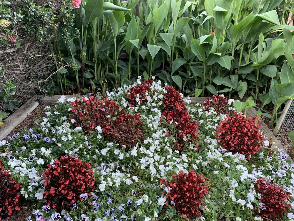 Custom residential landscaping with custom design in Santa Barbara, CA by Las Palmas Landscape