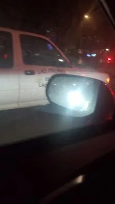 Las Palmas Landscape Logo