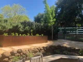 Trusted yard cleanup service experts serving Livermore, CA - Las Palmas Landscape Services