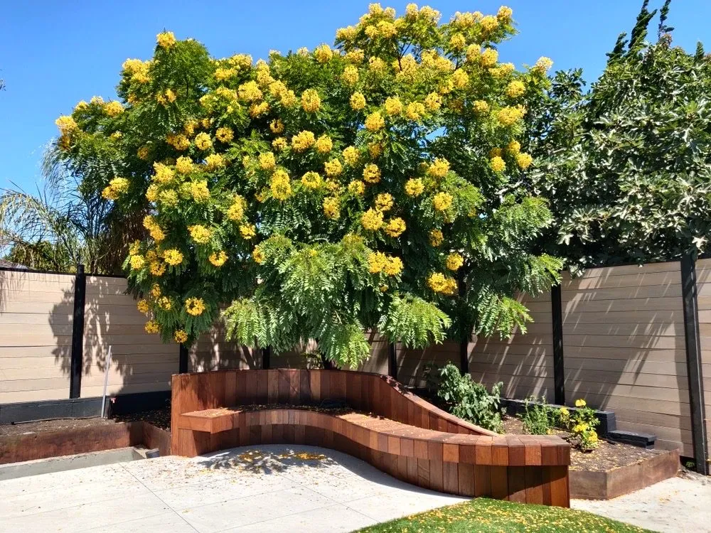 Custom landscape design for beautiful yards in Livermore, CA by Las Palmas Landscape Services