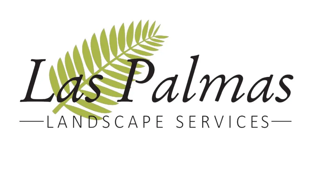 Professional lawn care service for beautiful yards in Livermore, CA by Las Palmas Landscape Services