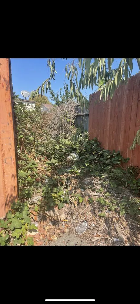 Expert lawn mowing service for beautiful yards in Watsonville, CA by Las Palmas Landscape