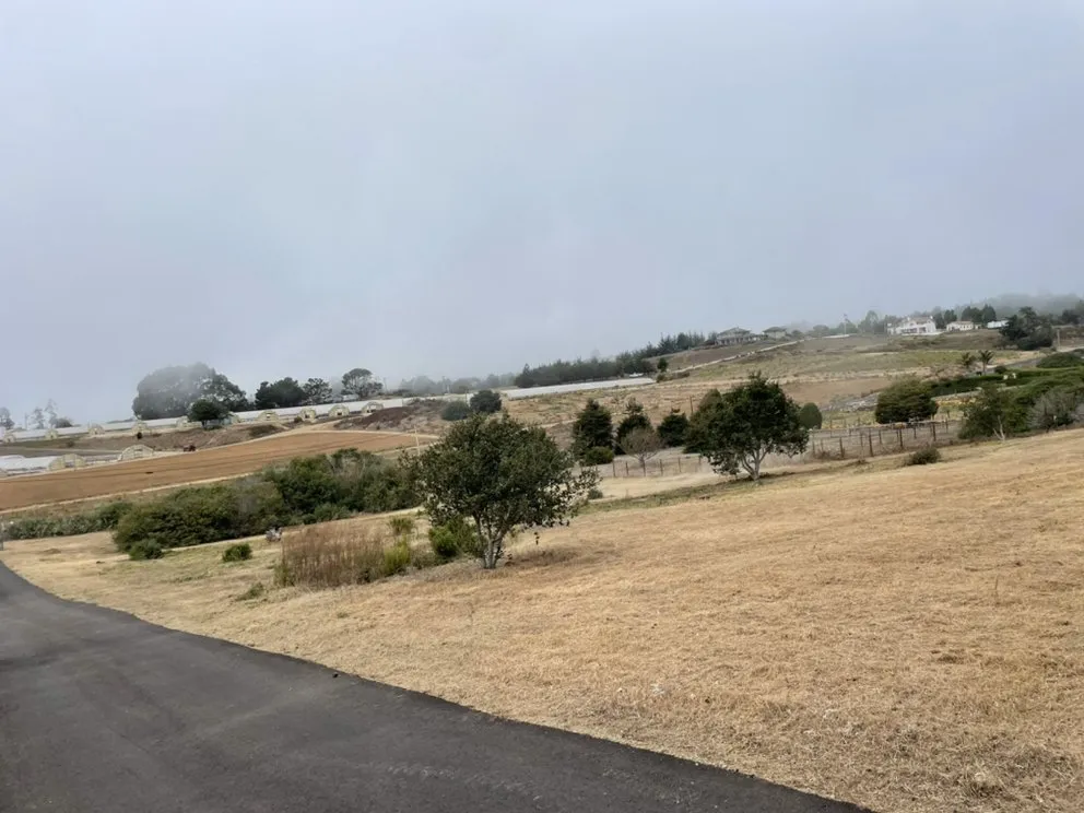 Reliable lawn mowing service experts serving Watsonville, CA - Las Palmas Landscape