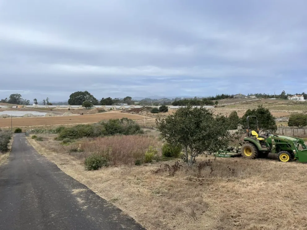 Trusted outdoor landscaping for homes in Watsonville, CA by Las Palmas Landscape