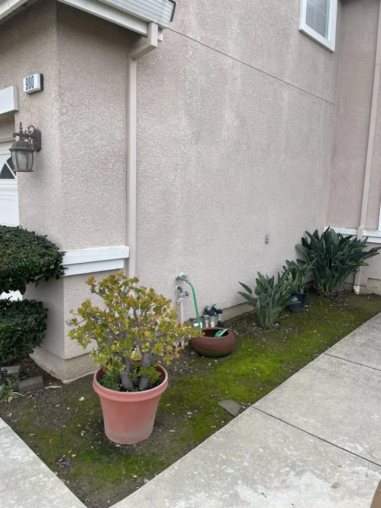 Local yard maintenance experts serving Watsonville, CA - Las Palmas Landscape