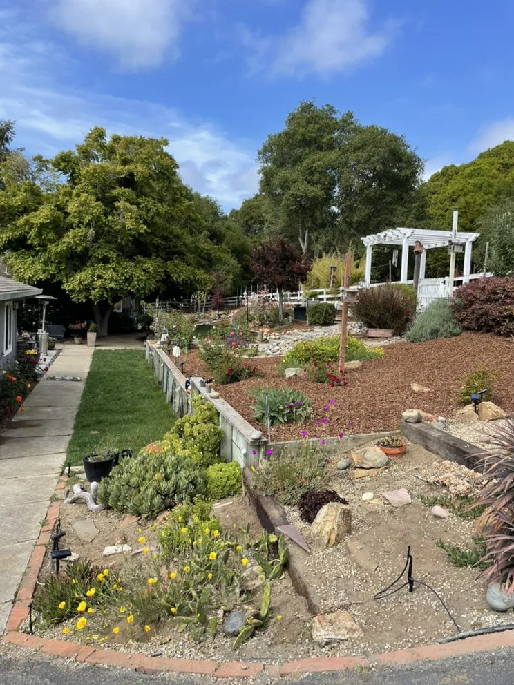 Trusted lawn care service for homes across Watsonville, CA - Las Palmas Landscape