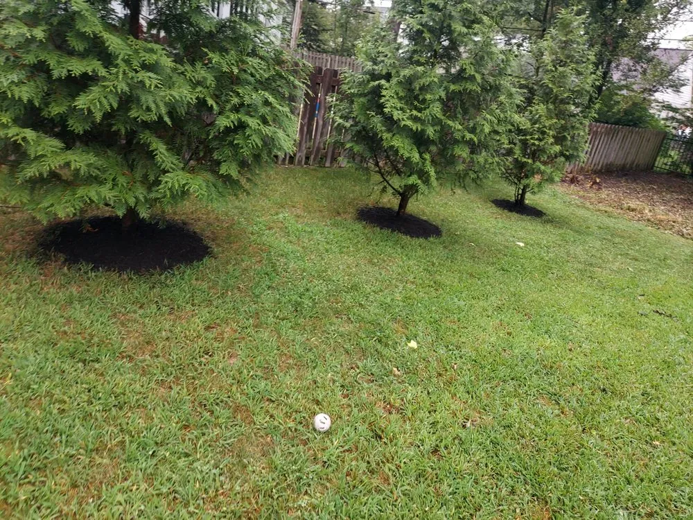 Professional outdoor landscaping experts serving Saint Louis, MO - Las Rosas Services