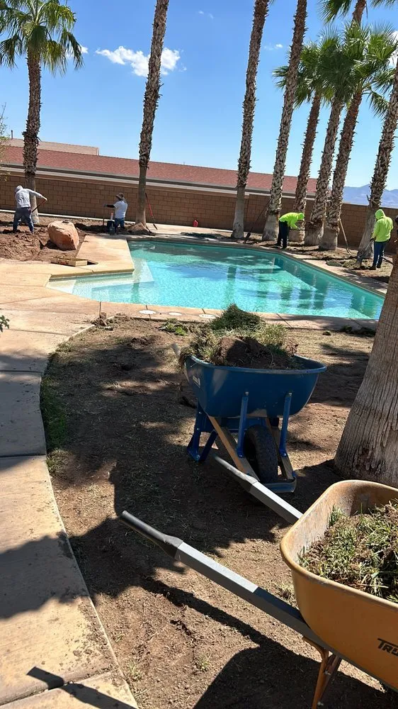 Professional yard cleanup service experts serving Enterprise, NV - Las Vegas Desert Sprinkler Repair LLC