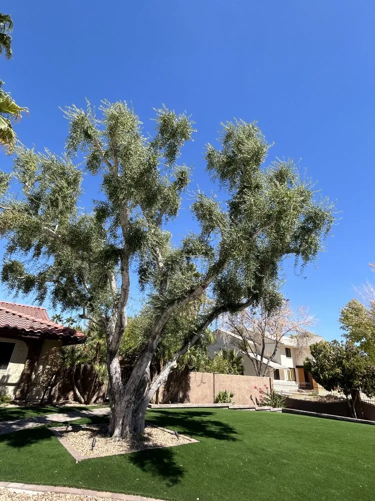 Expert landscape installation in Enterprise, NV by Las Vegas Desert Sprinkler Repair LLC