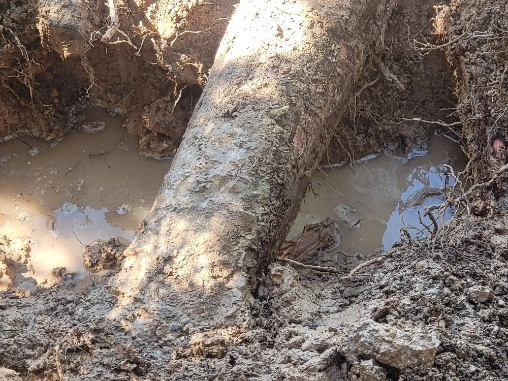 Expert landscaping services near you across Spring Valley, NV - Las Vegas Gardening Maintenance & Irrigation