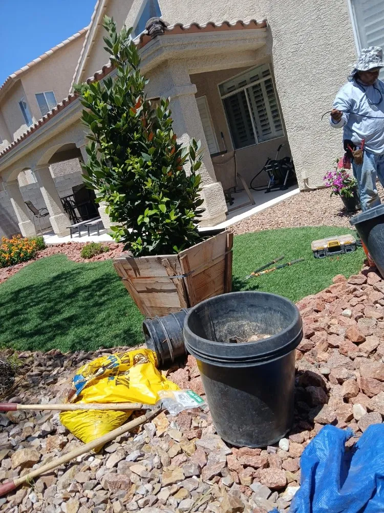 Local garden landscaping in Spring Valley, NV - Las Vegas Gardening Maintenance & Irrigation