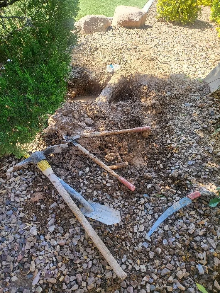 Reliable yard maintenance in Spring Valley, NV - Las Vegas Gardening Maintenance & Irrigation