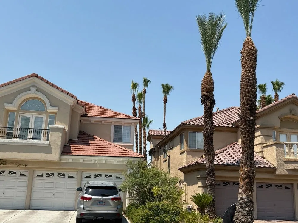 Affordable landscape installation in Spring Valley, NV by Las Vegas Gardening Maintenance & Irrigation