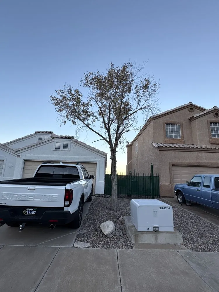 Custom garden landscaping experts serving Las Vegas, NV - Las Vegas Maintenance & Tree Services