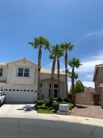 Trusted yard cleanup service near you in Las Vegas, NV by Las Vegas Maintenance & Tree Services