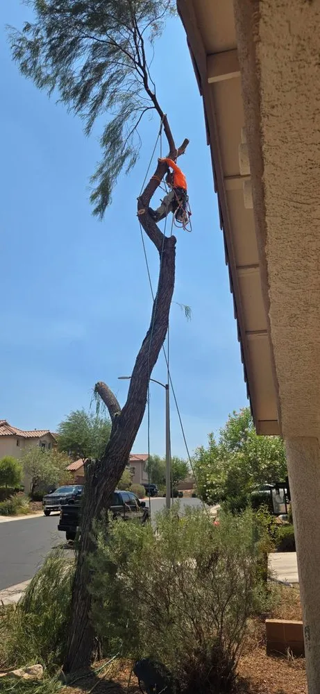 Custom garden landscaping in Las Vegas, NV - Las Vegas Maintenance & Tree Services