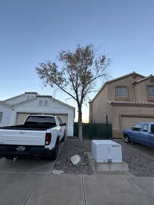 Las Vegas Maintenance & Tree Services Logo