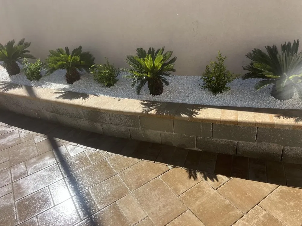 Reliable yard maintenance experts serving Las Vegas, NV - Las Vegas Nevada Landscaping