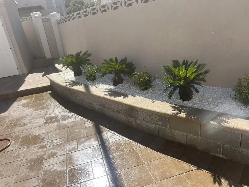 Custom yard maintenance in Las Vegas, NV by Las Vegas Nevada Landscaping