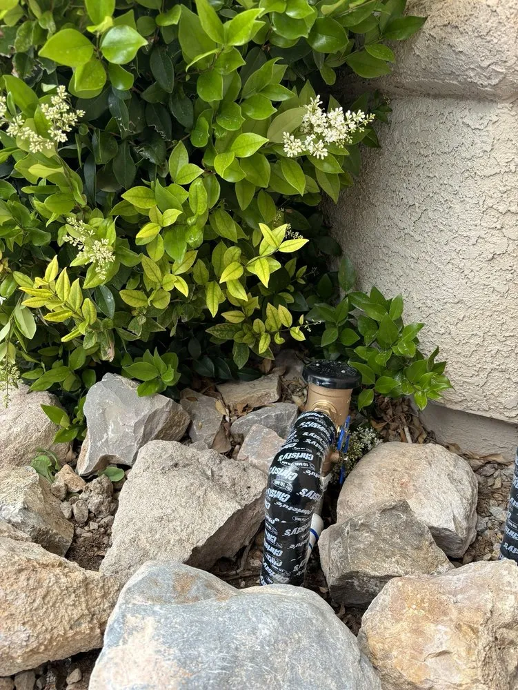 Local lawn mowing service in Las Vegas, NV by Las Vegas Yard Services