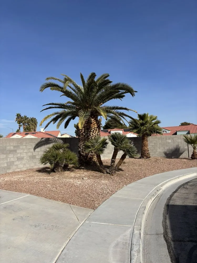 Professional lawn care service experts serving Las Vegas, NV - Las Vegas Yard Services