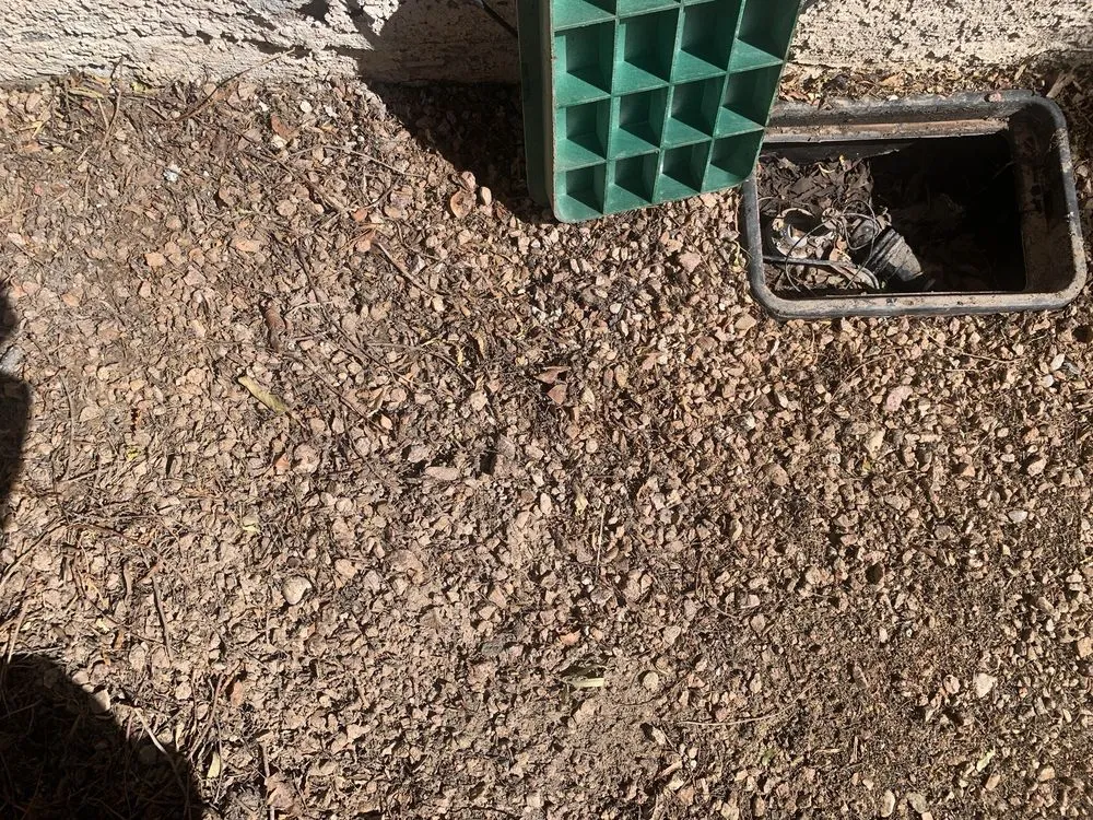 Reliable outdoor landscaping experts serving Las Vegas, NV - Las Vegas Yard Services