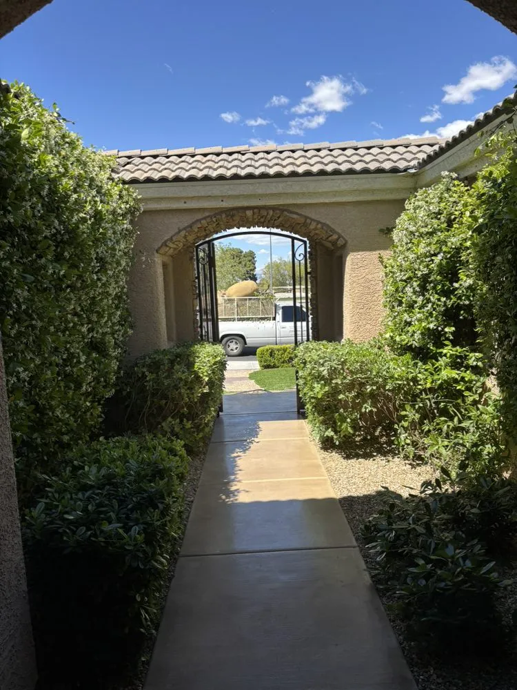 Custom yard cleanup service in Las Vegas, NV by Las Vegas Yard Services