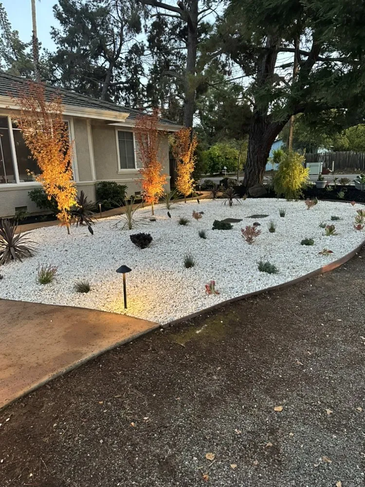 Top-rated landscape design experts serving North Richmond, CA - Lascamping
