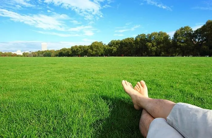 Professional residential landscaping in Crownsville, MD by Laser Cut Lawn Care