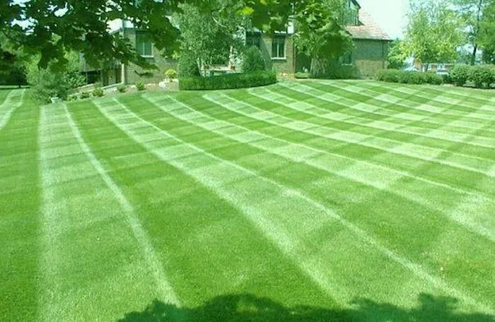 Professional lawn care service for beautiful yards across Crownsville, MD - Laser Cut Lawn Care