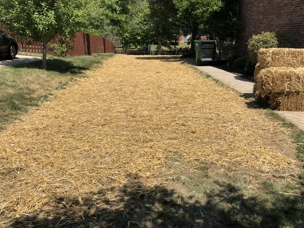 Affordable landscape installation in Frankfort, IN - Laser Edge Turf & Excavation