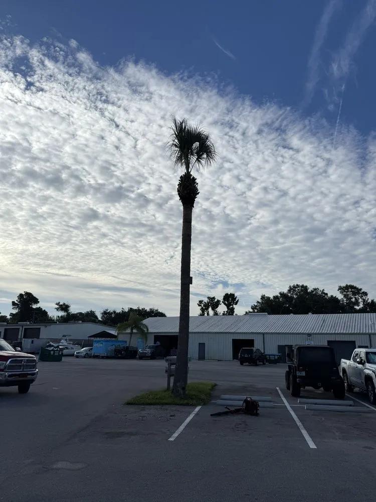 Reliable landscaping services in PT ORANGE, FL by Lasic Land & Tree