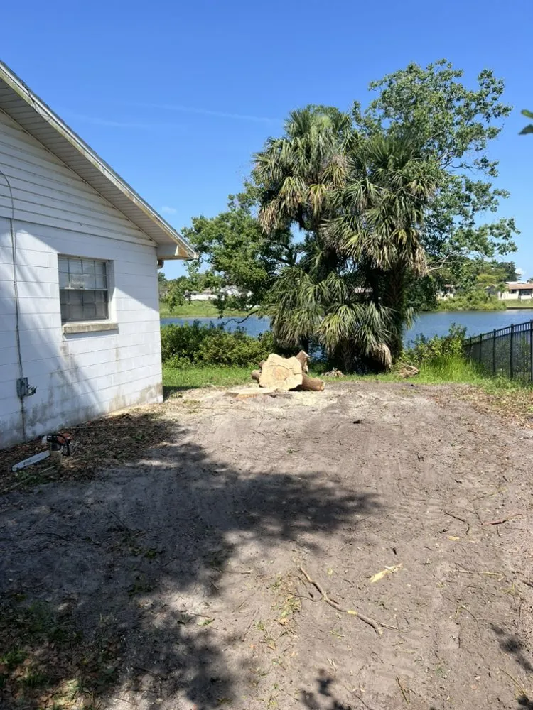 Local garden landscaping in PT ORANGE, FL by Lasic Land & Tree