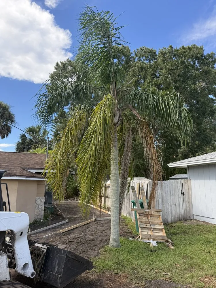 Top-rated outdoor landscaping in PT ORANGE, FL by Lasic Land & Tree
