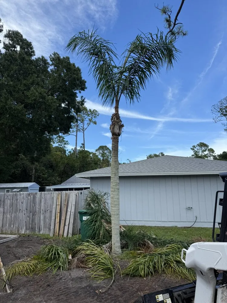 Professional garden landscaping in PT ORANGE, FL - Lasic Land & Tree