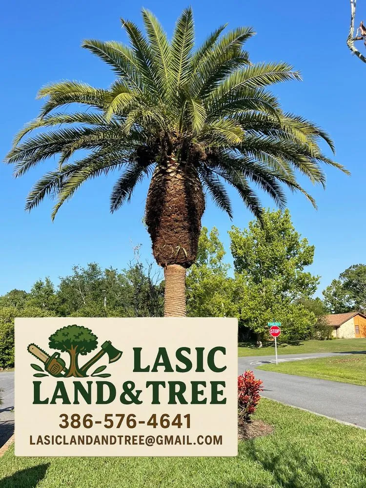 Reliable lawn care service near you across PT ORANGE, FL - Lasic Land & Tree