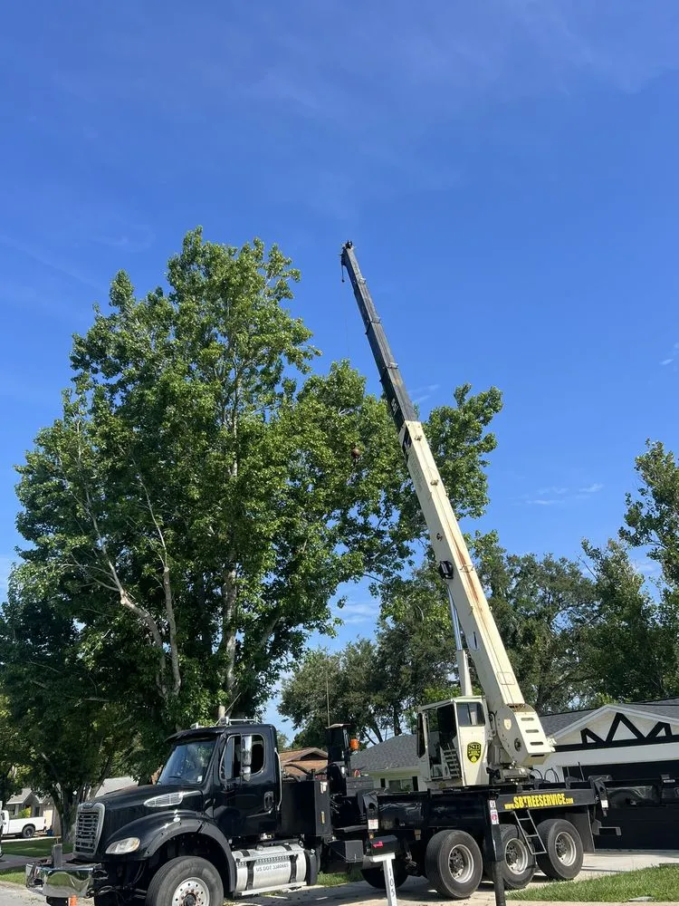 Local lawn mowing service in PT ORANGE, FL - Lasic Land & Tree