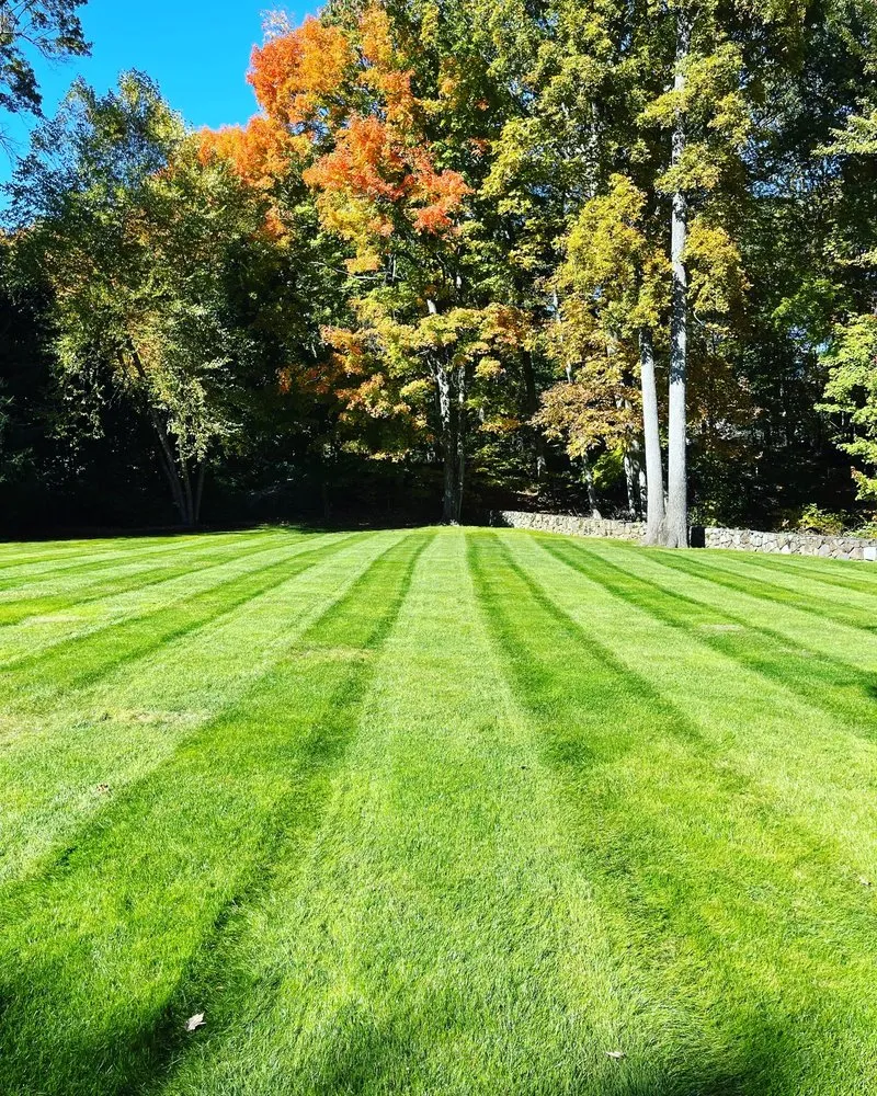 Custom lawn care service in Milford, CT - Lasko Landscaping