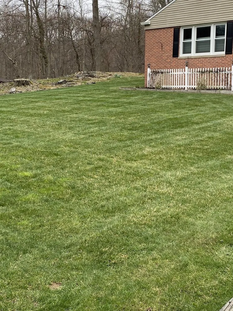 Expert yard cleanup service in Milford, CT by Lasko Landscaping