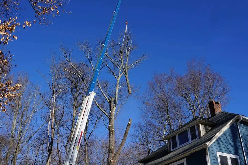 Professional yard cleanup service in Woodbury, CT by Lasky Enterprises