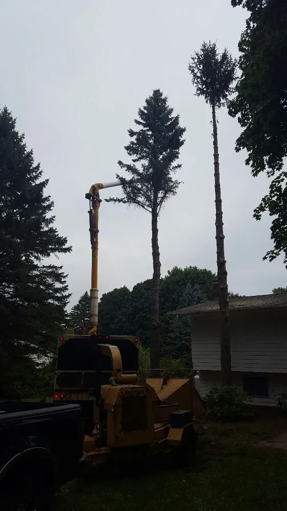 Local yard maintenance experts serving Woodbury, CT - Lasky Enterprises