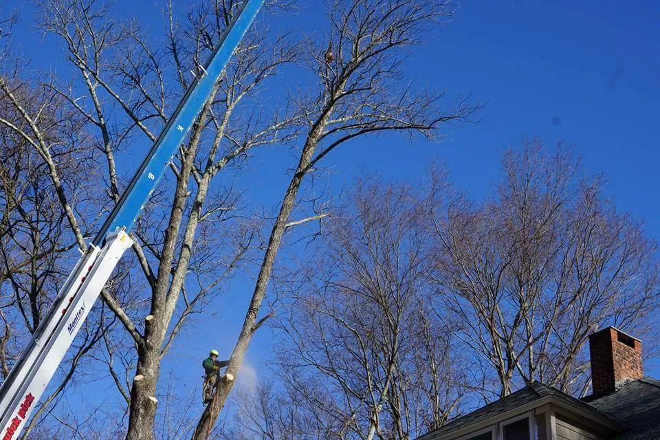 Local lawn care service in Woodbury, CT - Lasky Enterprises