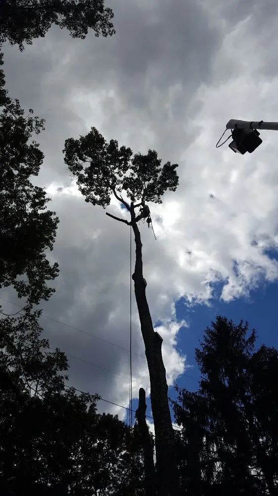 Expert lawn mowing service in Woodbury, CT by Lasky Enterprises