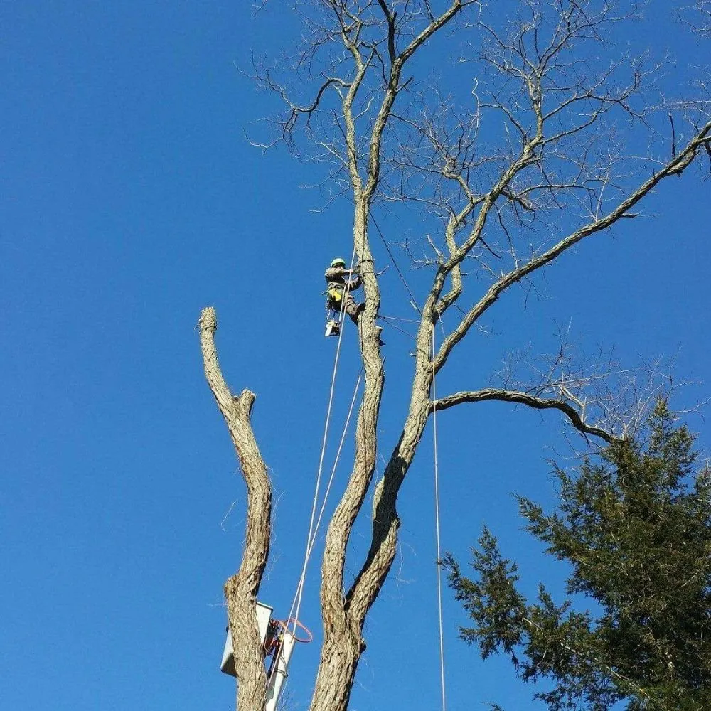 Trusted landscape installation in Woodbury, CT - Lasky Enterprises